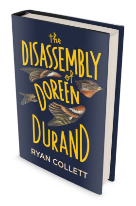 The Disassembly of Doreen Durand by Ryan Collett