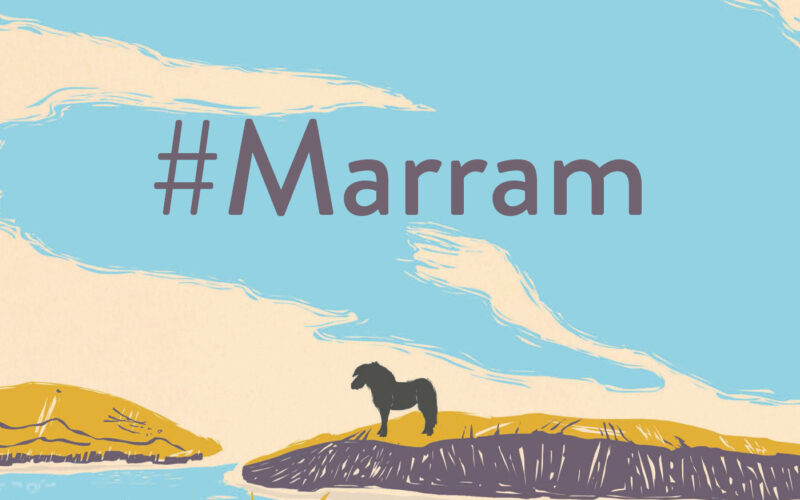 Marram: First impressions