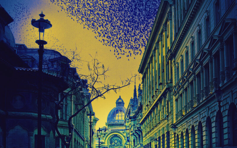 Fiona Erskine on The Starlings of Bucharest