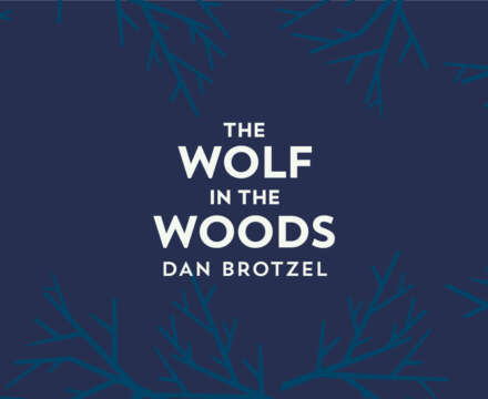 The Wolf in the Woods: Blog tour round-up